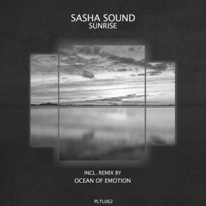 Download track Sunrise (Ocean Of Emotion Remix) Sasha SoundOcean Of Emotion