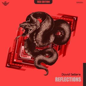 Download track Reflections David Sellers