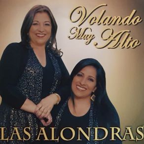 Download track No Te Encontre Las Alondras