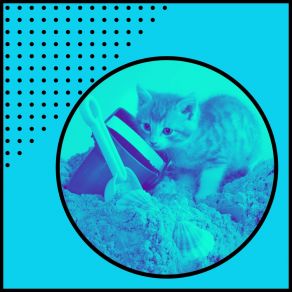 Download track Quiet Backdrops For Comfy Cats Música Para Gatos