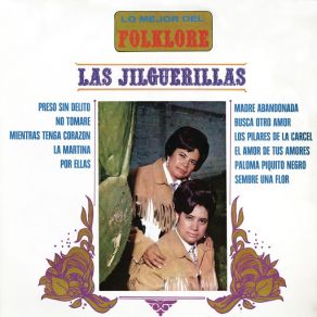 Download track Por Ellas Las Jilguerillas