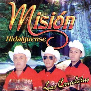 Download track El Vino Y La Parada Mision Hidalguense