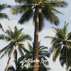 Download track Soft Palm Tree N° 1 EpistemEpipha