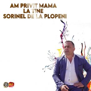 Download track Din Ploiesti Pana La Dej Sorinel De La Plopeni