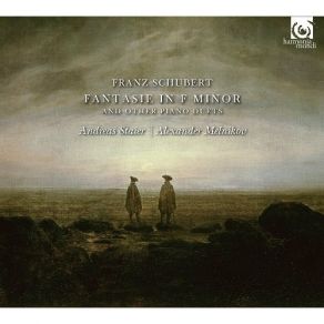 Download track 13. Variations On An Original Theme In A Flat Major Op. 35 D. 813 - Variation VI Franz Schubert