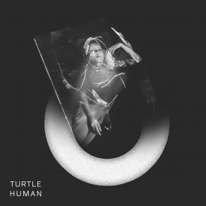 Download track Calculate Turtle