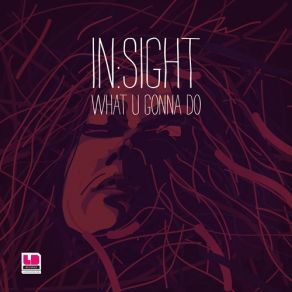 Download track All In (Original Mix) The Insight, In'Sight