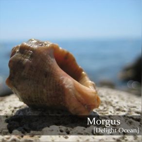 Download track Observer Signals Morgus