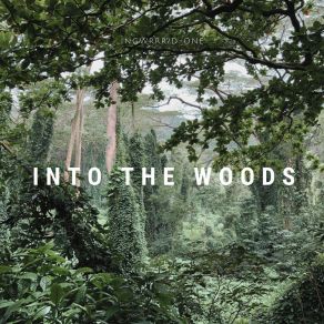 Download track Into The Woods D. One