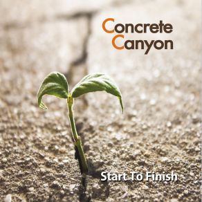 Download track You've Got Your Reasons Concrete Canyon