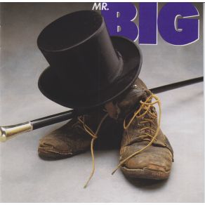 Download track Thirty Days In The Hole (Bonus Track)  Mr. Big