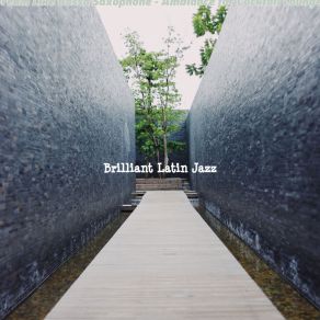 Download track Extraordinary Fine Dining Establishments Brilliant Latin Jazz