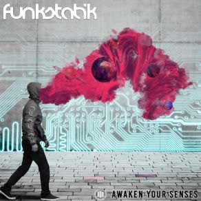 Download track Into The Forest FunkstatikLana Eucalyptus