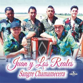 Download track Sangre Chamamecera Los Reales