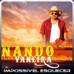 Download track Insensivel Nando Vaneira