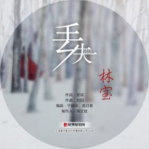 Download track 丢失 (伴奏版) Lin Bao