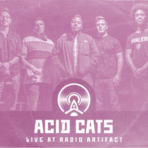 Download track Smack Em In The Face (Live At Radio Artifact) Acid Cats