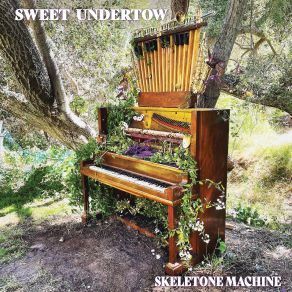 Download track Shakedown In The Street Sweet Undertow