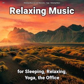 Download track Salutary Atmosphere Relaxing Music