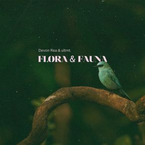 Download track Flora & Fauna Devon ReaUltmt.