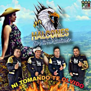 Download track Cruce La Frontera Halcones De Tierra Caliente