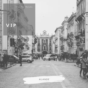 Download track VIP Alande