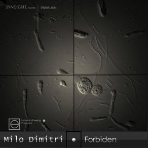 Download track Forest In The Forest Milo Dimitri