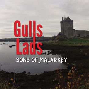 Download track McMahon's Reel Sons Of Malarkey