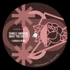 Download track What You Say (Carbajo Remix) Daniele AndrianiCarbajo