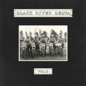 Download track Bye Bye Birdie Black River Delta