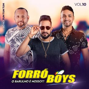 Download track Cachaceiro Profissional BANDA FORRO BOYS