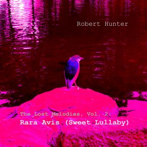 Download track Rara Avis (Sweet Lullaby) (Edit) Robert Hunter