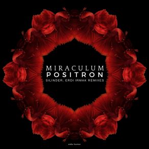 Download track Positron (Erdi Irmak Remix) Miraculum