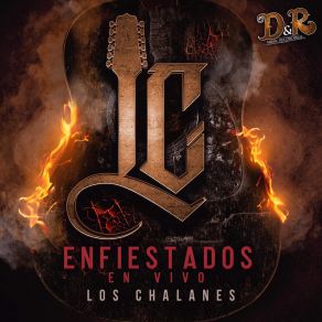 Download track El Caballero (En Vivo) Los ChalanesTololoche Galan