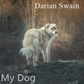 Download track My Dog Darian Swain