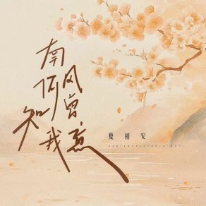 Download track 南风何曾知我意 (DJ小然版) DJ婷婷DJ小然