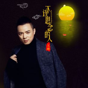 Download track 不该思念的人 (Dj版) Wang Feng何鹏