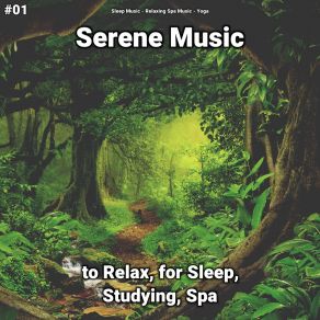 Download track Relaxing Music For Mother And Baby Yoga