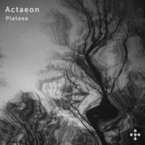 Download track Autonoe (Original Mix) Actaeon