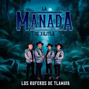 Download track Niña Coqueta La Manada De Xilitla