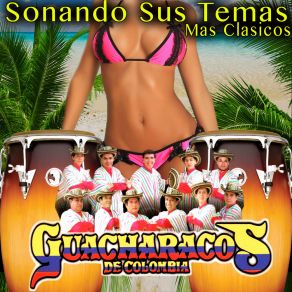 Download track Oiga Compadrito Guacharacos De Colombia