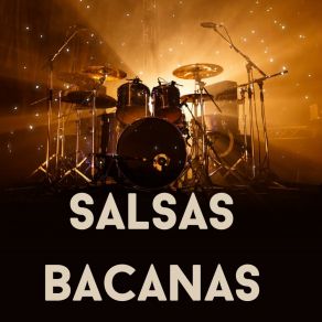 Download track Lo Mejor De La Salsa Baul La Sonora Salsera