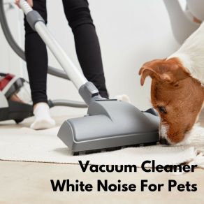 Download track Vacuum Cleaner With Pink Noise (Looopable - No Fade) Beruhigende Musik Für Hunde