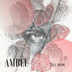 Download track New Day Ambee