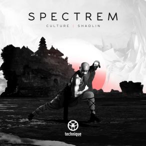 Download track Shaolin Spectrem