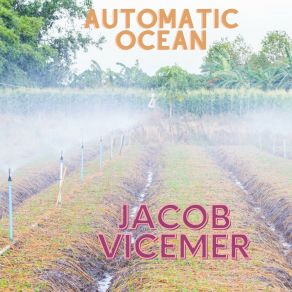 Download track Automatic Ocean Jacob Vicemer