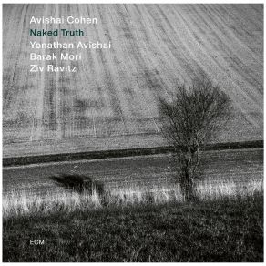 Download track Naked Truth (Pt. 4) Avishai Cohen