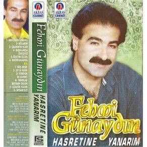 Download track Enstrumantal Fehmi Günaydın