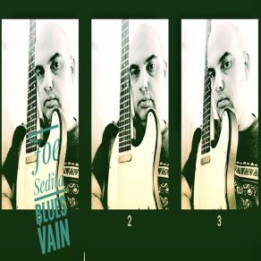 Download track Blues Vain Joe Sedita