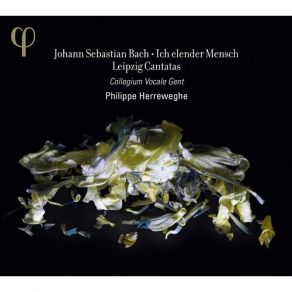 Download track 24 Aria Der Heiland Kennet Ja Die Seinen Alto Johann Sebastian Bach